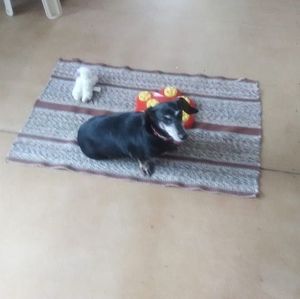 Meet your Posher, Debora